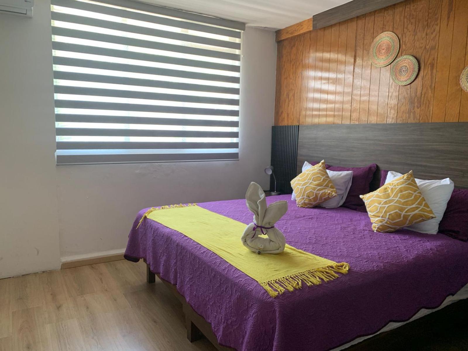 Pino Apartment Oaxaca 外观 照片